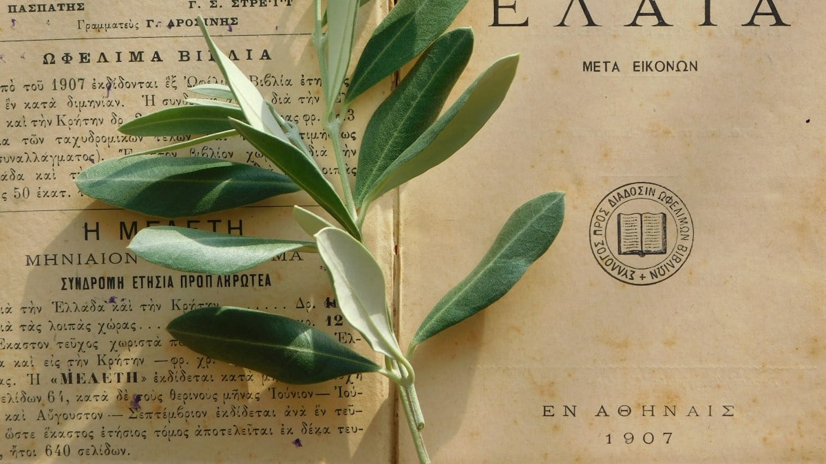 green plant on newspaper page